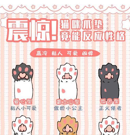 猫咪脚垫划伤预防与护理实用指南
