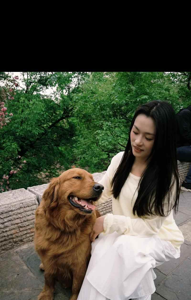 带小金毛外出的好处与注意事项指南