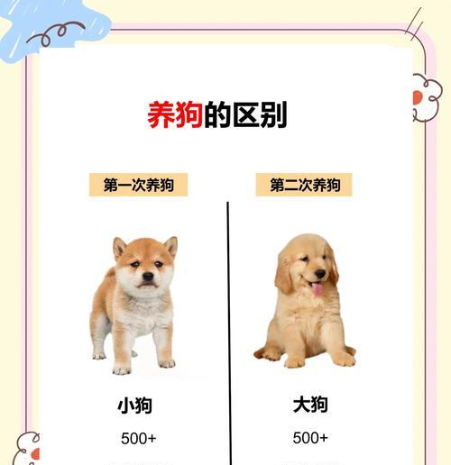 如何区分纯种狗和杂交狗的技巧与指南