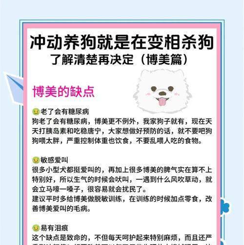 解决博美犬掉毛问题的实用护理方法