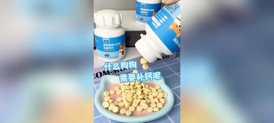 高效补钙方法：促进狗狗骨骼健康与牙齿发育