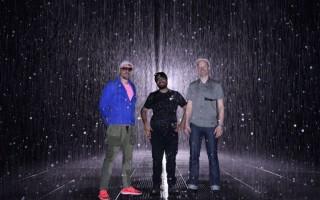 探索通体黑色狗品种的独特魅力与个性特征 探索通体黑色狗品种的独特魅力与个性特征