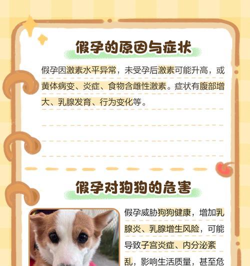 母狗产后观察指南及护理要点解析