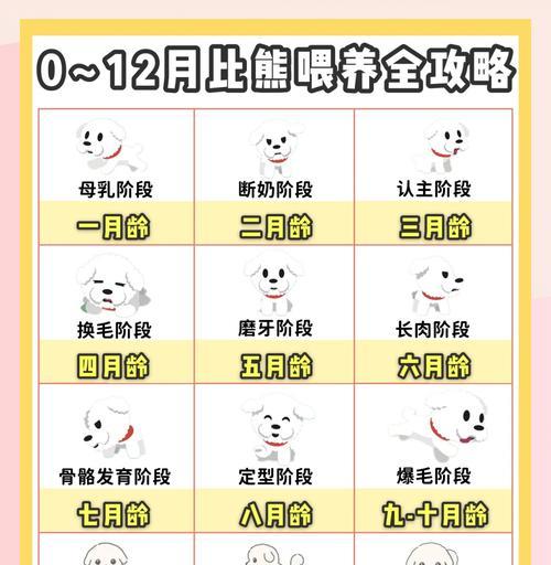 母狗产后观察指南及护理要点解析