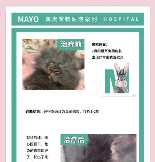 兔子脚上长癣的原因及治疗方法详解