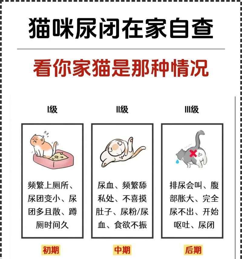 猫咪尿骚味成因及有效解决方法全解析 猫咪尿骚味成因及有效解决方法全解析