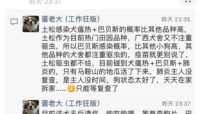 狗瘟预防措施大全,保护宠物健康生活的实用指南 狗瘟预防措施大全,保护宠物健康生活的实用指南