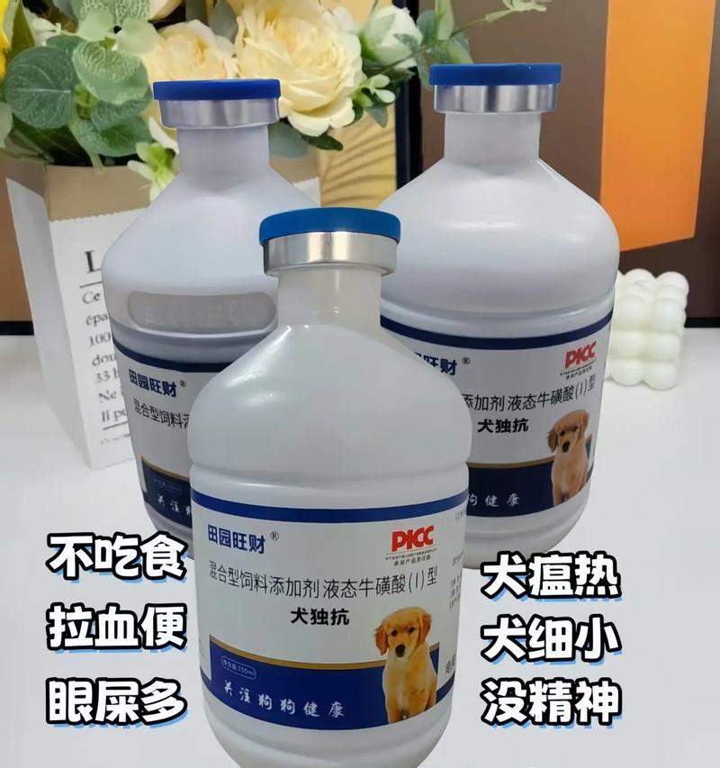 狗瘟预防措施大全,保护宠物健康生活的实用指南 狗瘟预防措施大全,保护宠物健康生活的实用指南