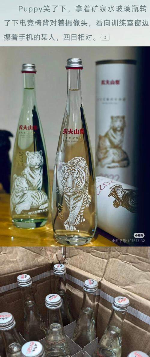 柯基犬每天喝多少水合适，饮水量影响因素与健康指南