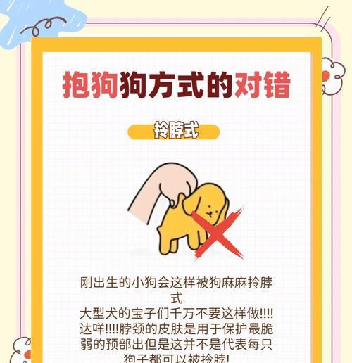 训练狗狗保持静止方法，培养安静听话好习惯