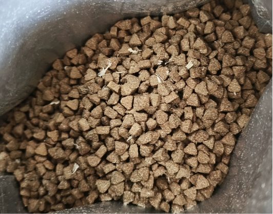 纯刻P40幼猫粮配方解析与性价比分析 纯刻P40幼猫粮配方解析与性价比分析