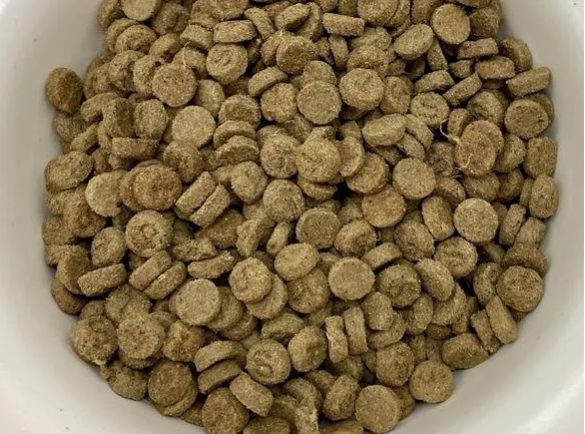 探索烘焙猫粮配方亮点与适口性测评 探索烘焙猫粮配方亮点与适口性测评