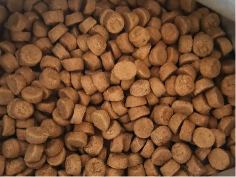 猫小闹黑金烘焙猫粮适合哪些猫咪食用? 猫小闹黑金烘焙猫粮适合哪些猫咪食用?