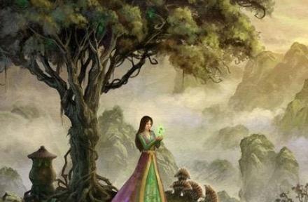 狗湿粮保存技巧与保质期指南