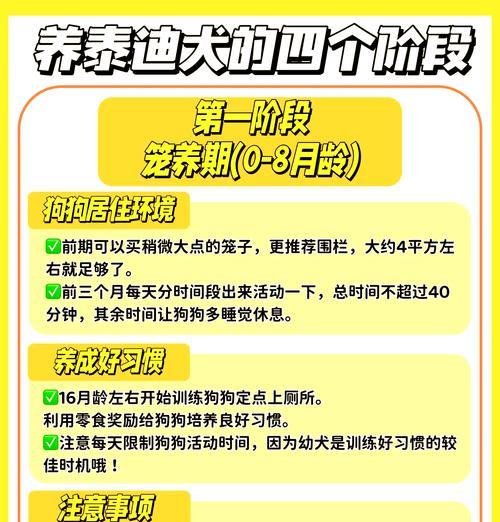 贵宾犬成长周期与养育要点全解析