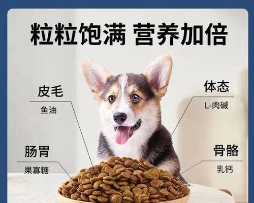 狗狗换粮时机与营养需求全解析 狗狗换粮时机与营养需求全解析