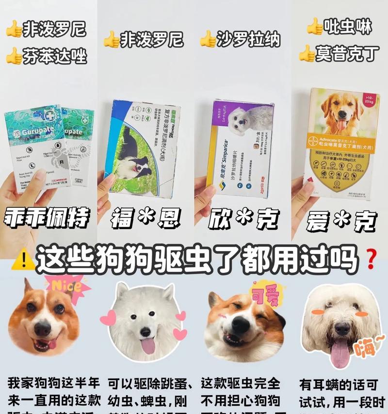 四个月大狗狗驱虫频率及注意事项