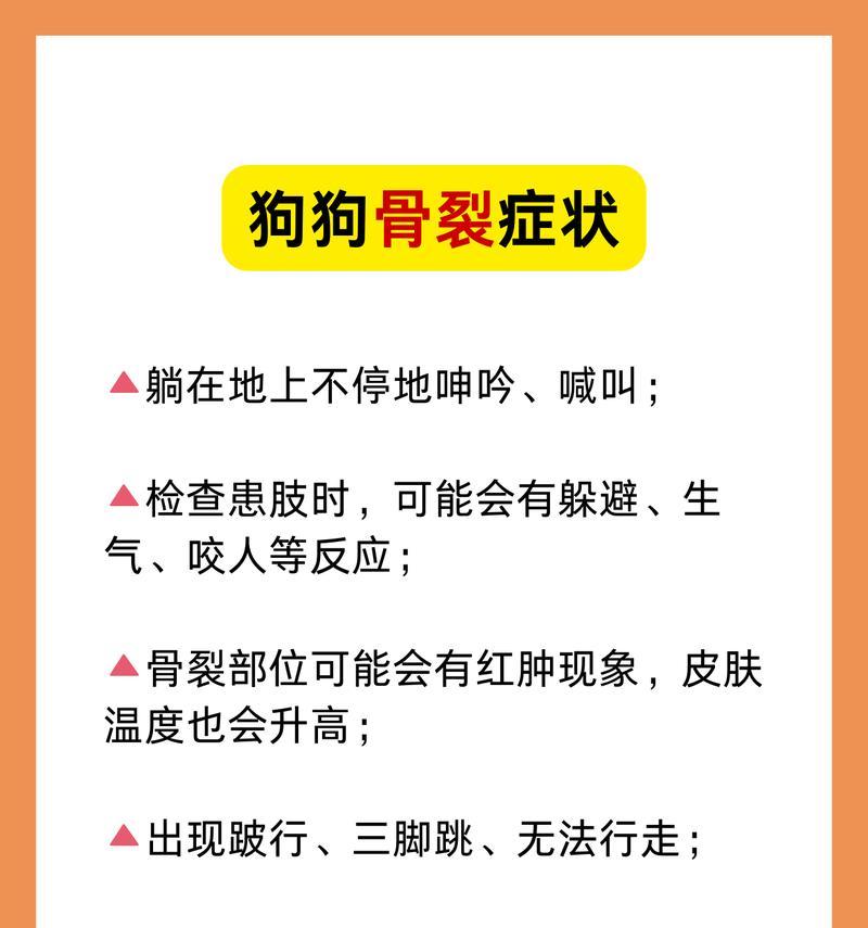 成年狗后腿骨裂恢复期指南与康复要点