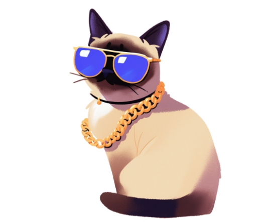 暹罗猫为何会变色？新手养猫必看的饲养指南