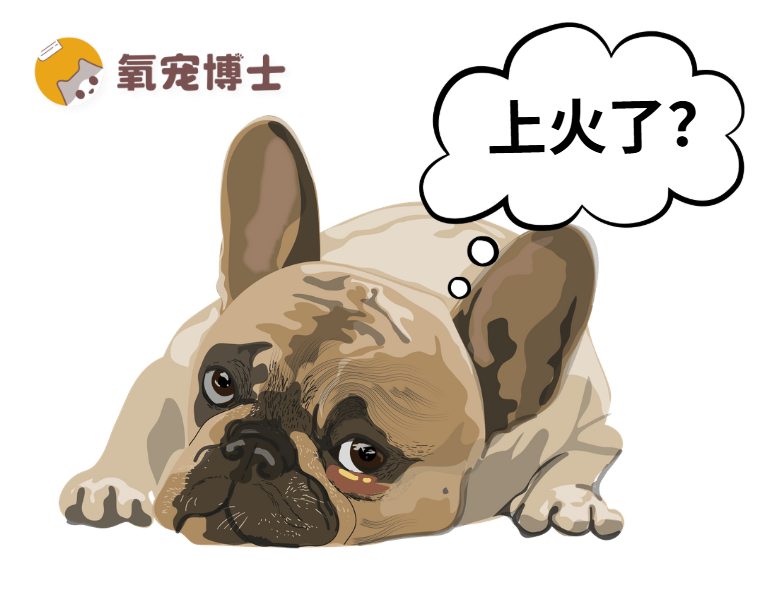 狗狗换粮后眼屎增多怎么办？