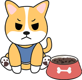 狗狗换粮后眼屎增多怎么办？