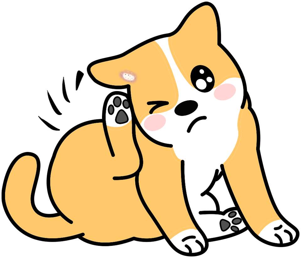 狗狗听力下降的5个表现及应对方法