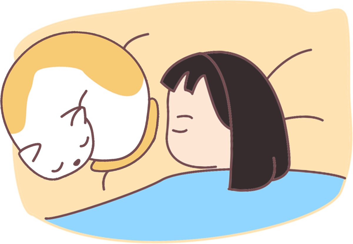 猫咪早上叫的原因及解决方法 猫咪早上叫的原因及解决方法