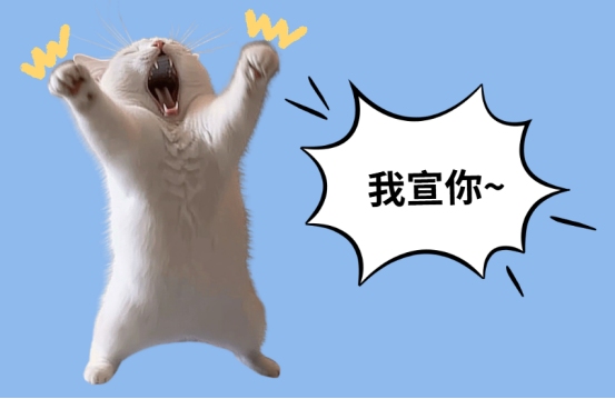 猫咪凝视主人的真正原因及应对方式 猫咪凝视主人的真正原因及应对方式