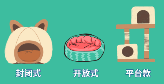 猫窝真的有必要买吗？猫咪的真实需求告诉你答案