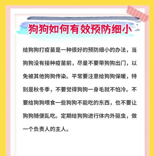 宠物狗狗细小病毒预防与护理全攻略 宠物狗狗细小病毒预防与护理全攻略