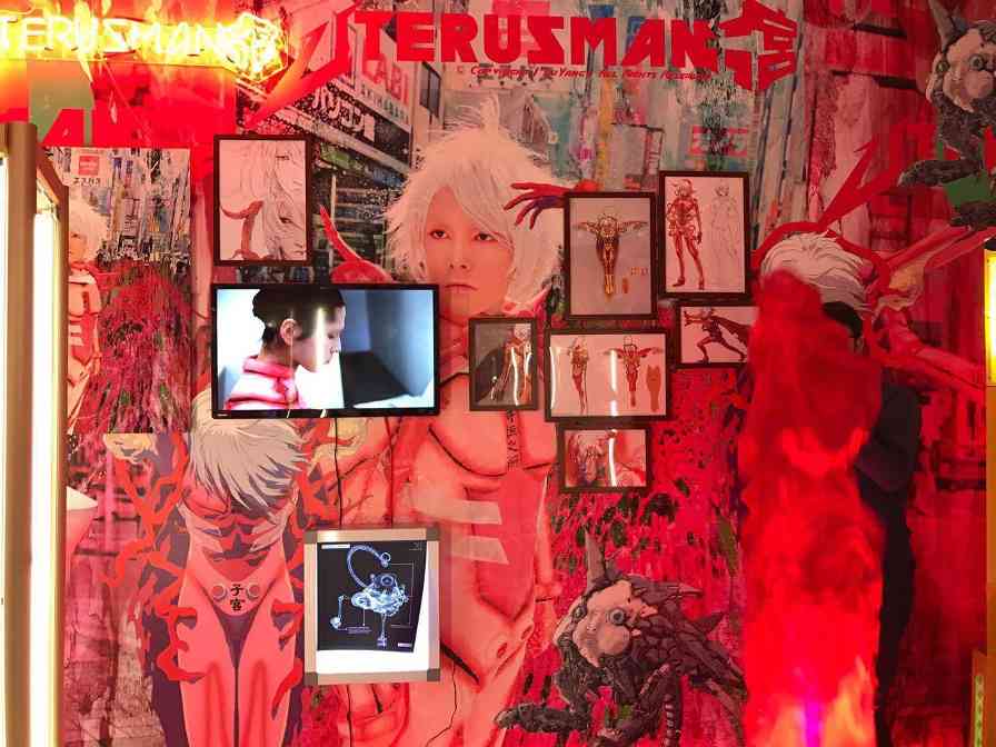 折耳猫的性格特点与养护要点