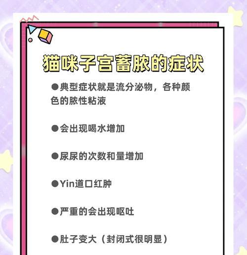 猫子宫蓄脓的危险与治疗时机