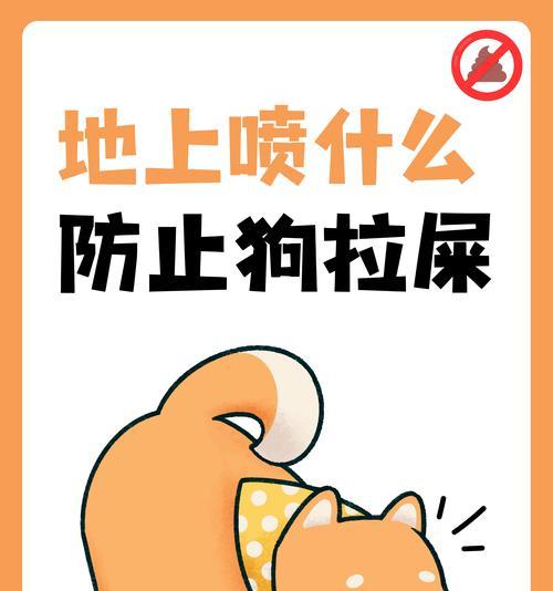 小狗拉屎问题的解决方法与训练技巧