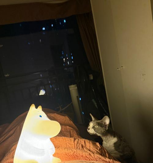 猫咪夜晚长时间叫唤的多种原因解析 猫咪夜晚长时间叫唤的多种原因解析