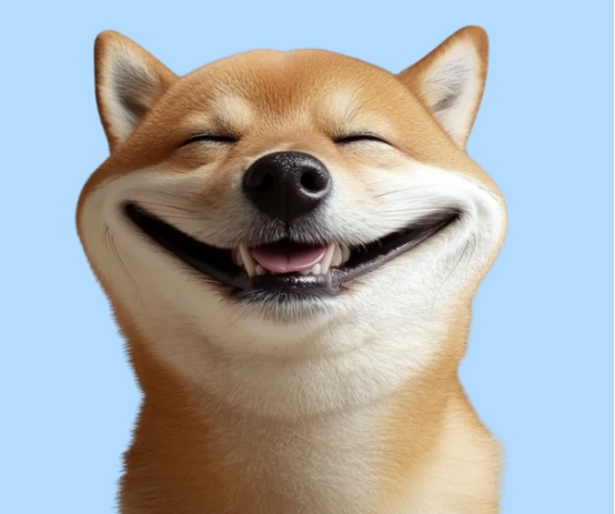 狗狗装聋不听话的真正原因及有效训练方法 狗狗装聋不听话的真正原因及有效训练方法