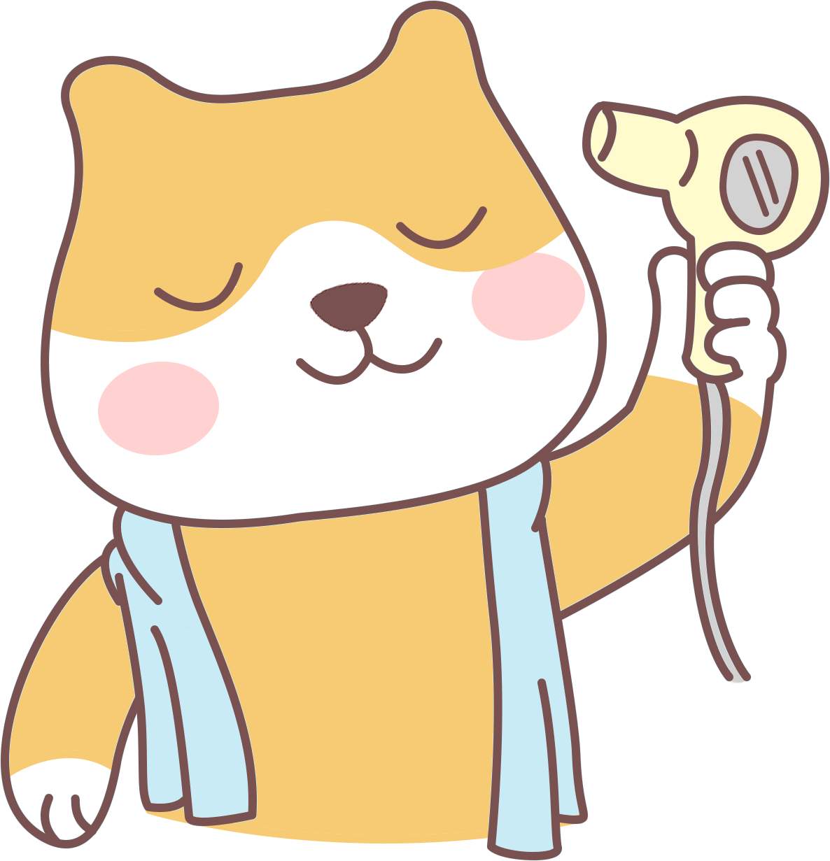 猫咪害怕吹风机怎么办?3步脱敏训练让主子不再躲避 猫咪害怕吹风机怎么办?3步脱敏训练让主子不再躲避