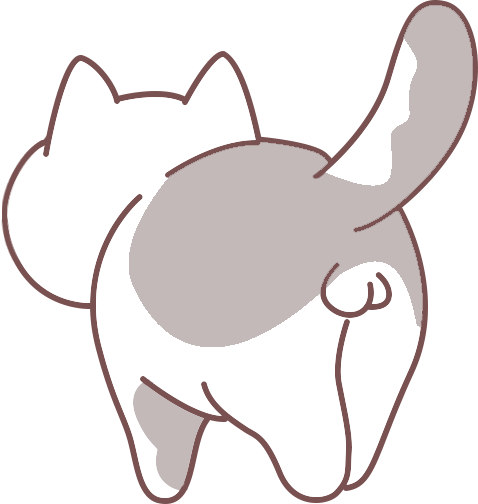 刚捡小猫带回家注意事项全攻略,新手铲屎官必看指南 刚捡小猫带回家注意事项全攻略,新手铲屎官必看指南