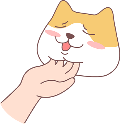 刚捡小猫带回家注意事项全攻略,新手铲屎官必看指南 刚捡小猫带回家注意事项全攻略,新手铲屎官必看指南