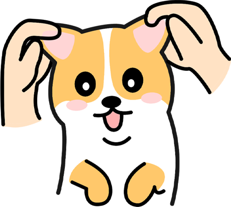 新手养狗必备45条常识,科学喂养护理指南 新手养狗必备45条常识,科学喂养护理指南