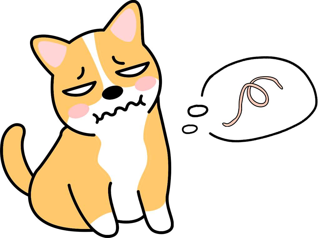 狗狗为什么不能吃生鸡蛋？生鸡蛋喂养风险全解析