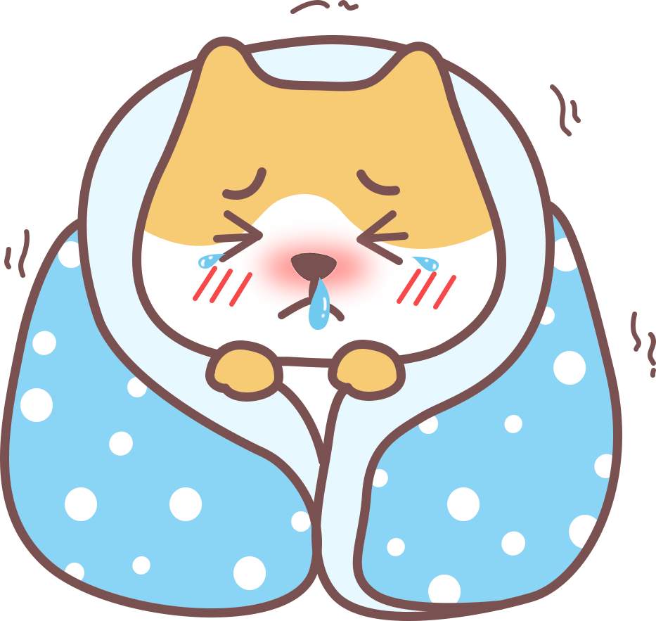 猫咪适宜温度多少度？16-21℃最舒适，怕冷还是怕热？