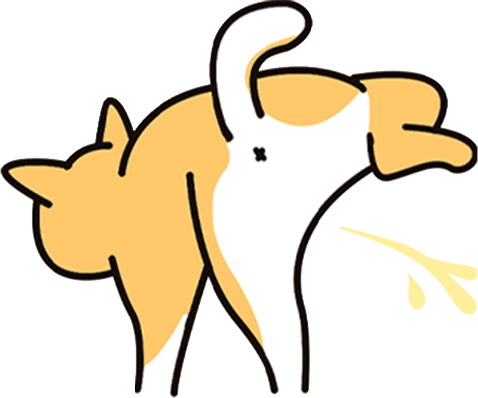 新手必看!狗狗健康自查5步法,轻松识别爱犬身体状况 新手必看!狗狗健康自查5步法,轻松识别爱犬身体状况