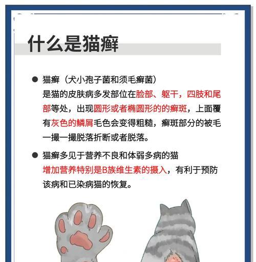 猫咪不用猫砂怎么办？15个有效方法让猫咪爱上猫砂盆