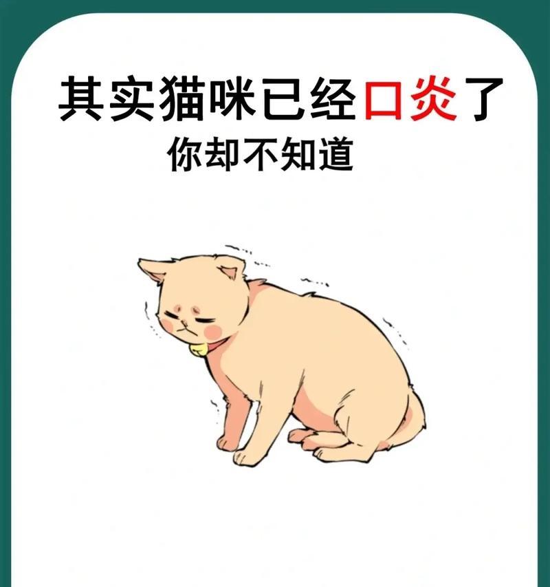 猫咪口腔溃疡原因治疗方法及预防措施全解 猫咪口腔溃疡原因治疗方法及预防措施全解