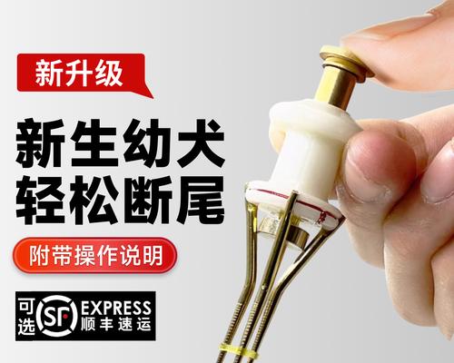 小狗断尾的必要性与方法详解:时间选择和术后护理指南 小狗断尾的必要性与方法详解:时间选择和术后护理指南