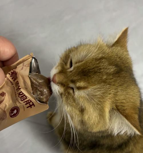 幼猫鸡胸肉喂养指南：每餐合适分量与营养搭配方法