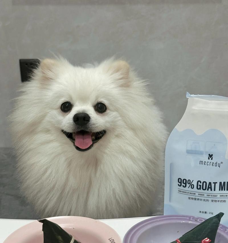 狗狗尾巴毛掉光什么原因如何解决 狗狗尾巴毛掉光什么原因如何解决