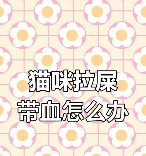 布偶猫突然在地上拉屎的原因分析及解决方法 布偶猫突然在地上拉屎的原因分析及解决方法