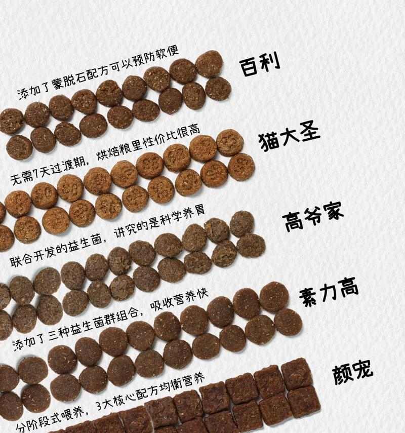 猫咪健康增肥指南：15个营养喂养要点让宠物猫健康成长