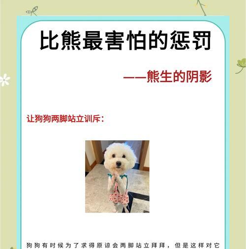 细狗如何运用智慧策略在与笨狗互动中占据优势地位